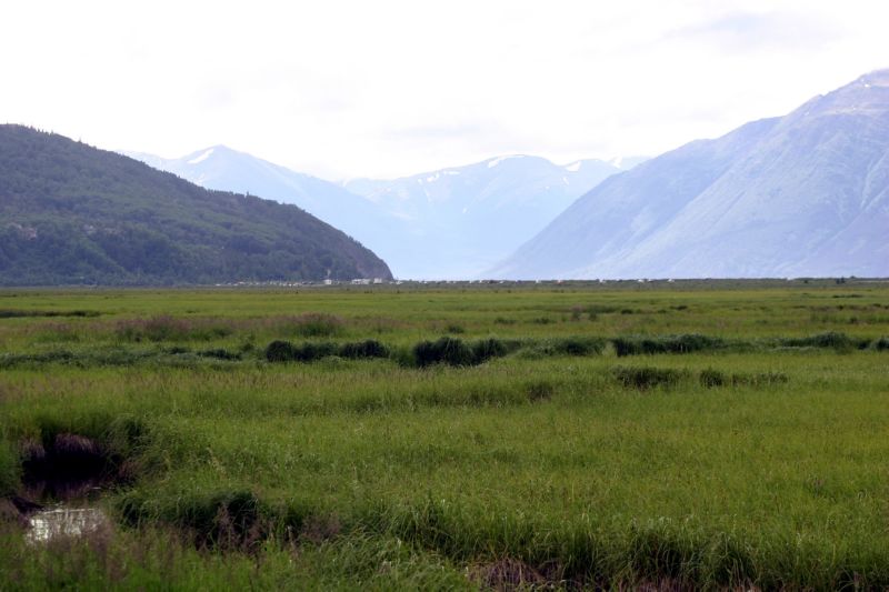 070404 Hope Hatcher Montana Creek (10061)